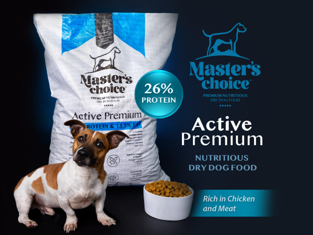 Active Premium Dry Dog Food