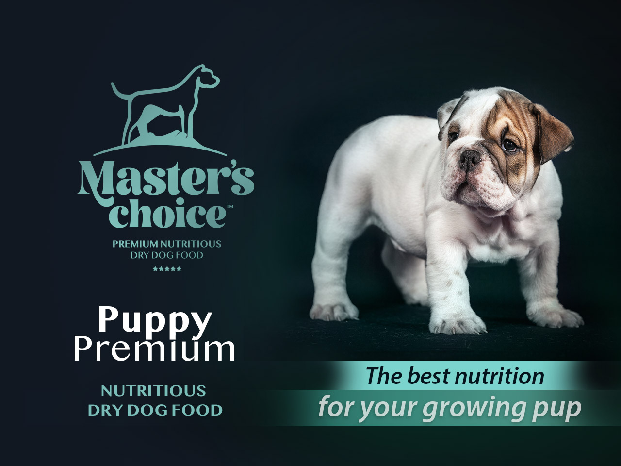 Puppy Premium Dry Dog food - Image 4